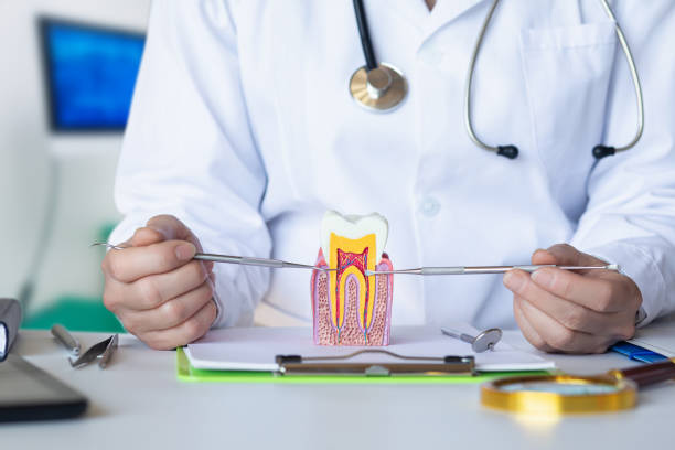 Best Pediatric Emergency Dentist in Argentine, MI